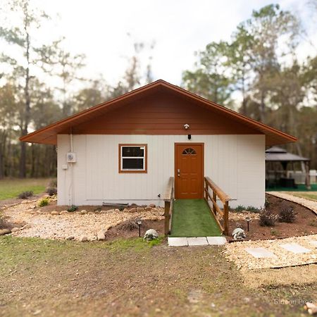 3/2 Uf Wooded Paradise Retreat ゲインズビル エクステリア 写真