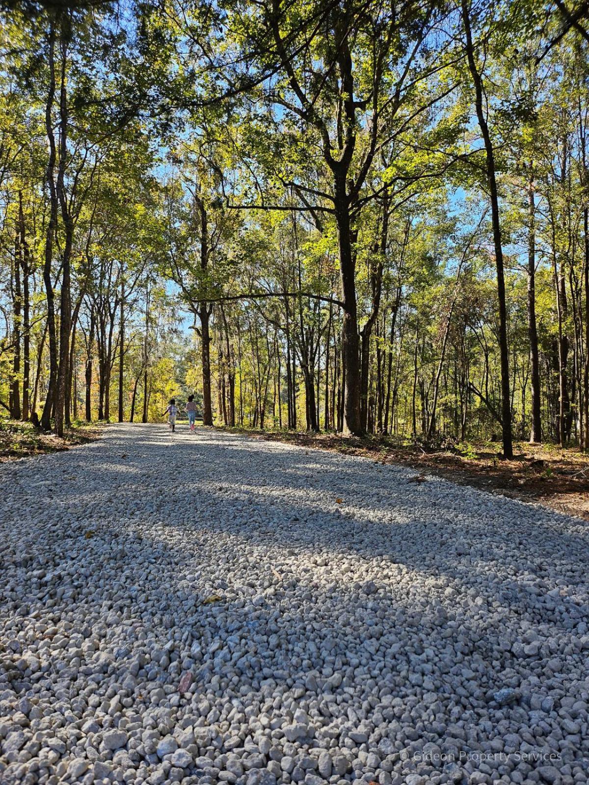 3/2 Uf Wooded Paradise Retreat ゲインズビル エクステリア 写真
